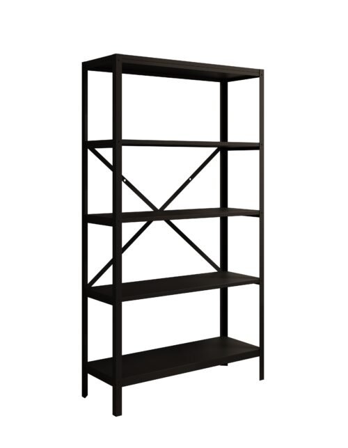 Rene Black ADRK bookshelf