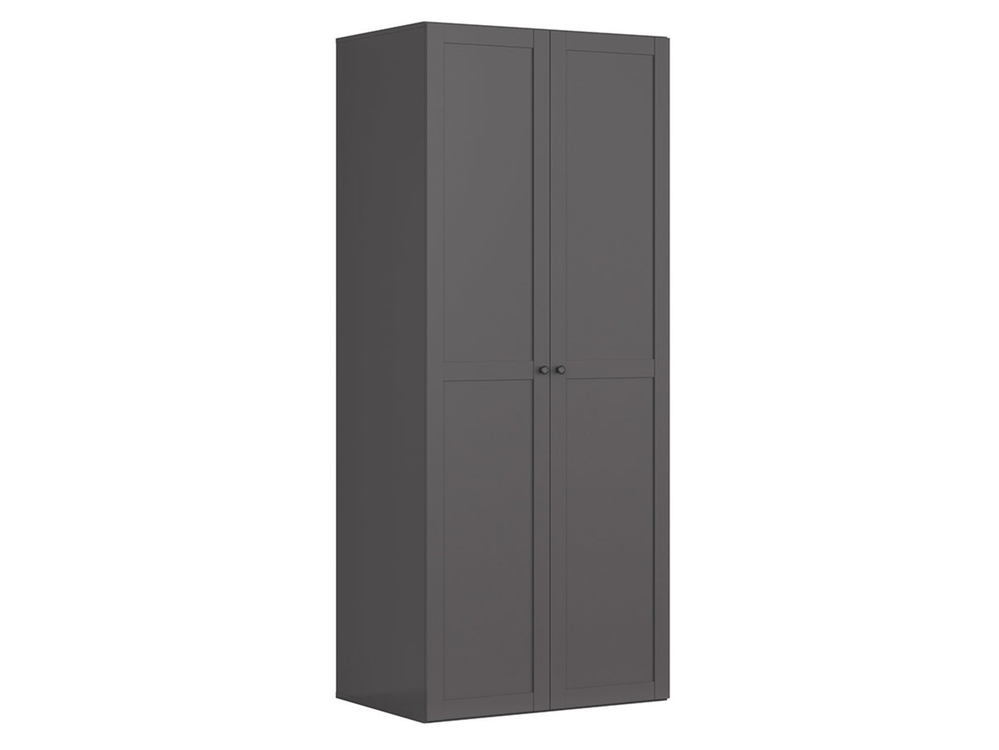 FLEX two-door wardrobe 100 cm graphite color