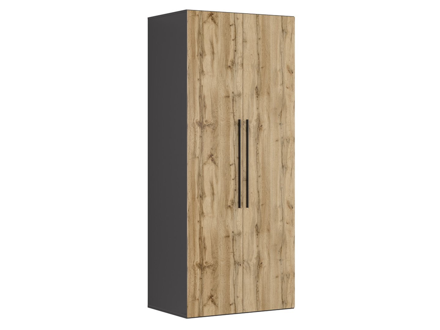 FLEX two-door wardrobe 100 cm graphite color/wotan oak color