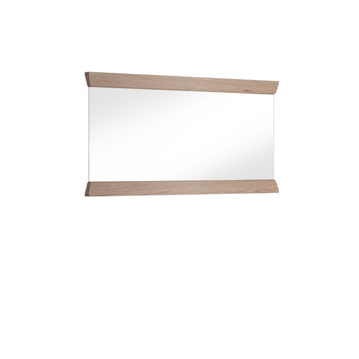 ASPEN AS-L1 mirror