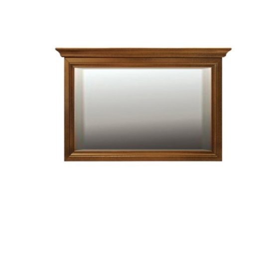 NEPTUN N-L2 mirror