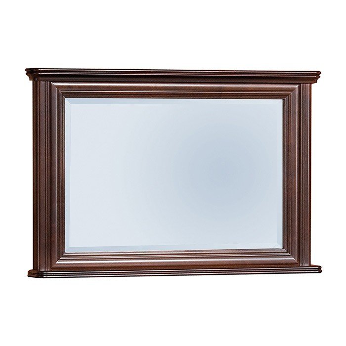 WERSAL W-L2 mirror