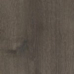 Dąb Carpenter Coffe
