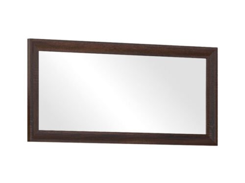FENIX FEL-1 mirror