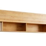 ONYX ONP-1 shelf
